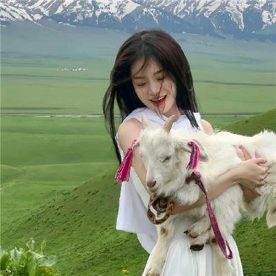 金牌红娘
